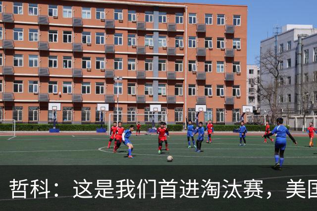 哲科：这是我们首进淘汰赛，美国是东道主但波黑走到这绝非偶然