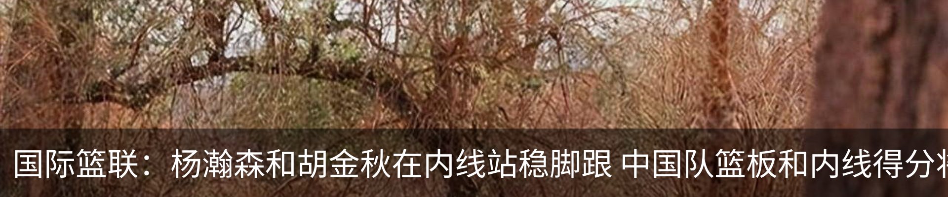 新闻动态