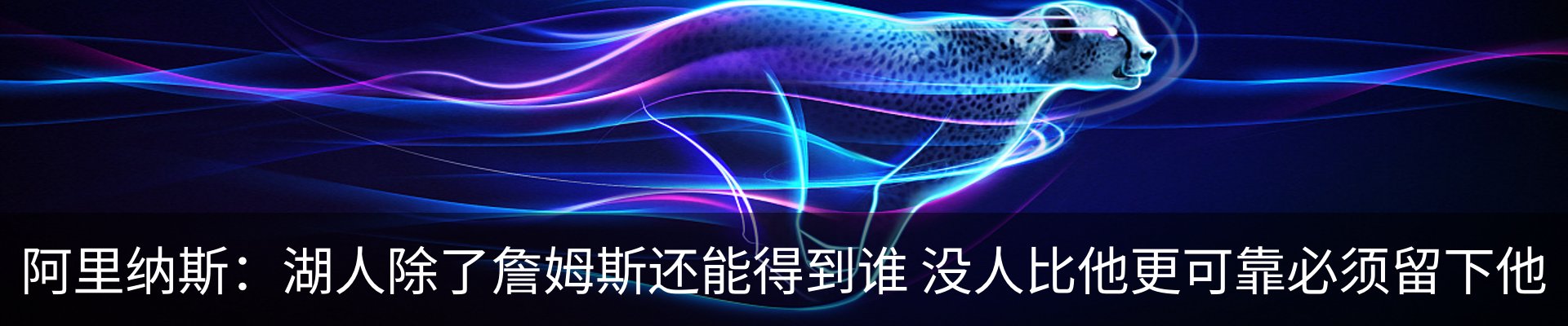 新闻动态